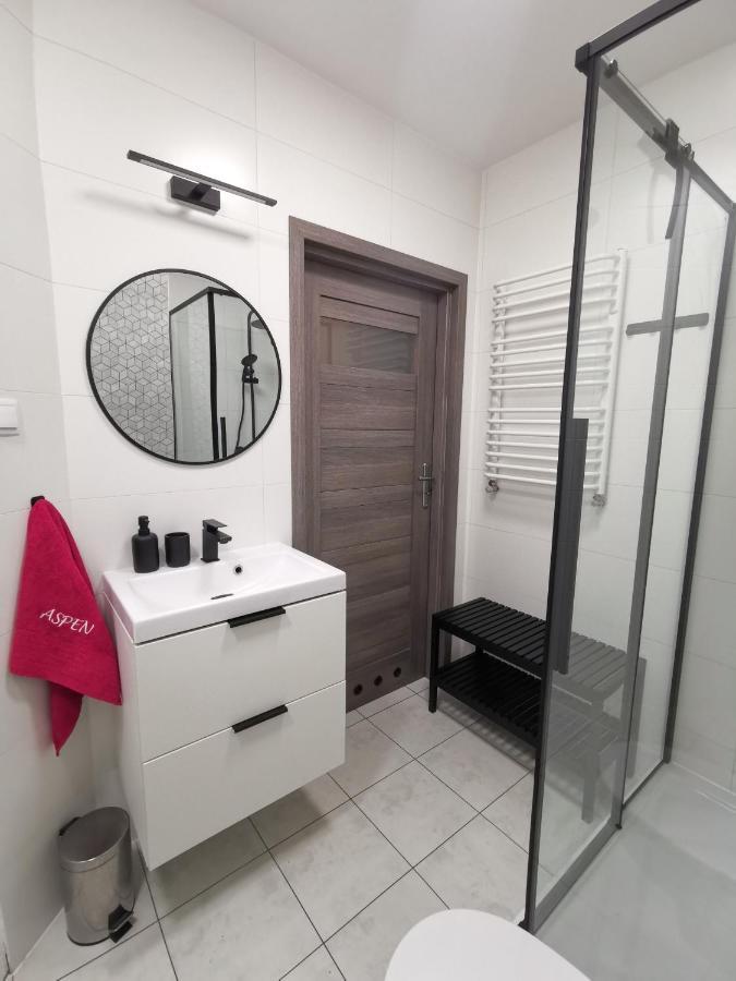 Apartament Apartament Aspen - Aprent Świeradów-Zdrój Zewnętrze zdjęcie